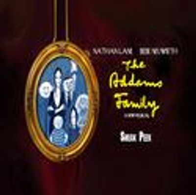 TV: Broadway Beat Opening Night of The Addams Family