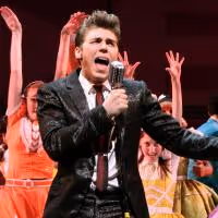 Photo Flash: First Production Shots of BYE BYE BIRDIE, Currently in Previews!
