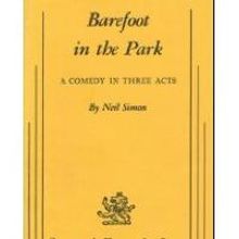 BAREFOOT IN THE PARK Plays Final Weekend at Westport Community Theatre, 10/9-10/11