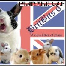 BRITBRITS 6 Shorts Play At Mind The Gap Festival Plays 11/6-11/8