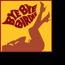 Dayton Playhouse Presents BYE BYE BIRDIE 6/27 & 6/28