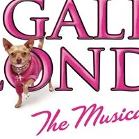 Gulsvig, Hansen et al. Lead LEGALLY BLONDE at Fox Theatre, 4/8-4/11