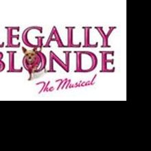 Marcus Center to Host Girl Scout Sleepover in Conjunction w/ LEGALLY BLONDE, 4/16