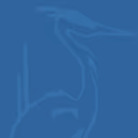 Ardelle Striker, Blue Heron's Artistic Director, Dies 80
