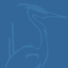 Ardelle Striker, Blue Heron's Artistic Director, Dies 80