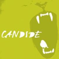 Quantum Theatre to Stage CANDIDE, Opens 11/5