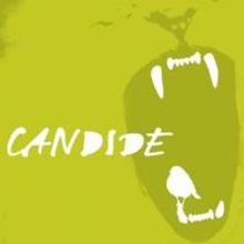 Quantum Theatre to Stage CANDIDE, Opens 11/5