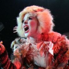 CATS Lands at Boston’s Colonial Theatre 4/13-4/18