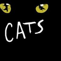 CATS Lands at Colonial Theatre; Tickets On Sale March 7