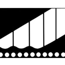 The Charleston Stage Company Presents DEAD MAN'S CELL PHONE and BUDDY! THE BUDDY HOLL