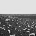 Center for Creative Photography Presents Joe Deal West and West Through 5/8