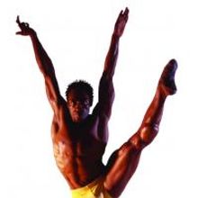 NFAA Honors Desmond Richardson & Liv Ullmann with Arison Award, 1/16