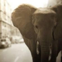 EBE Ensemble Seeks Submissions for One Act Play Festival, 5/4-7/24