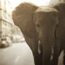 BWW Special Feature: 99 and Under the Radar, Indie Theatre's Movers and Shakers