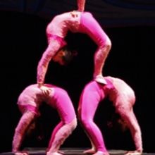 The Golden Dragon Acrobats Perform at the Byham Theater, 3/13