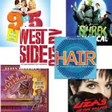 Ain't Misbehavin', Hair, 9 to 5, Shrek, West Side Story, Liza Nominated for GRAMMY…