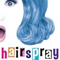 HAIRSPRAY, VIBRATOR PLAY et al. Play San Diego Rep in '10-'11