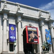 One Step Beyond Continues at the Museum of Natural History, 3/12