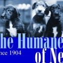 Humane Society of New York Holds Photography Auction in Honor of Martha Swope 4/27