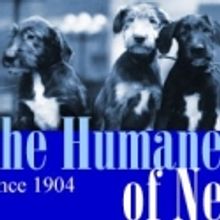 Humane Society of New York Holds Photography Auction in Honor of Martha Swope 4/27