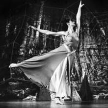 Dance June Lewis & Company Presents REWIND AND PRESENT 10/2-4