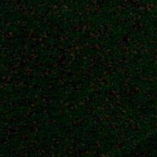 'Lady Day at Emerson's Bar & Grill' Triumphs