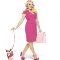 STAGE TUBE: LEGALLY BLONDE West End - Music Video: 'So Much Better'