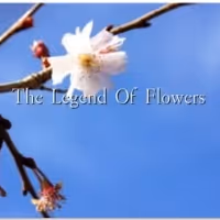 MUSE Presents THE LEGEND OF FLOWERS, 4/23 & 4/25