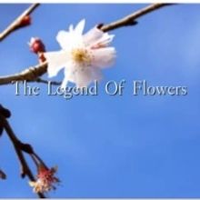 MUSE Presents THE LEGEND OF FLOWERS, 4/23 & 4/25