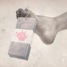 Soulpepper Brings Macabre Black Comedy LOOT To The Young Centre 6/5-8/1