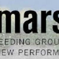 The Marsh Celebrates 20th Anniversary With Eclectic 2009 Fall Season