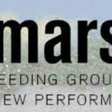 The Marsh San Francisco Presents Dan Hoyle’s THE REAL AMERICANS, 1/21-3/6