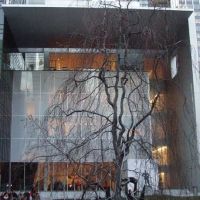 Museum of Modern Art Presents 'Projects 92: Yin Xiuzhen', 2/24-3/24