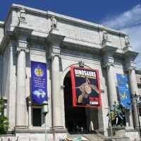 AMNH Announces April Programs