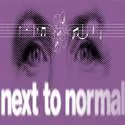 NEXT TO NORMAL Wins Pulitzer Prize for Drama!