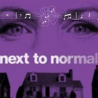 NEXT TO NORMAL's Road to Bdwy Explored in Variety