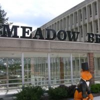 Meadow Brook Theatre Presents NO STRINGS ATTACHED