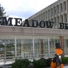 Meadow Brook Theatre Presents NO STRINGS ATTACHED