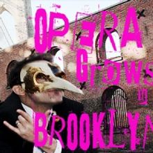 Galapagos Art Space Presents OPERA GROWS IN BROOKLYN 4/16