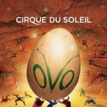 Cirque du Soleil's OVO Ends San Jose Engagement March 21