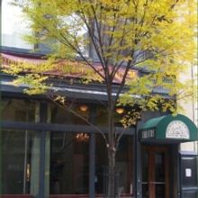 Irish Rep Reading of NOAH AND THE TOWER FLOWER Postponed Due to Snow