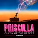 Ben Richards Goes from Boy in Blue to Boy in Drag in PRISCILLA