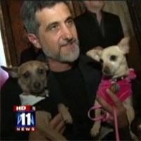 STAGE TUBE: 'LEGALLY BLONDE' Opens At LA's Pantages Theater