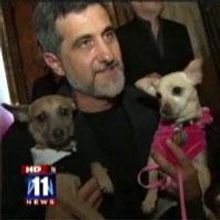 STAGE TUBE: 'LEGALLY BLONDE' Opens At LA's Pantages Theater