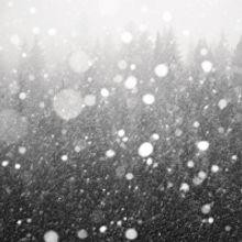 NYC Snow Day Update for Wed. Feb 26, The Shows Must Go On!