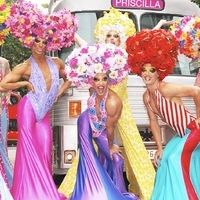 Don Gallagher Joins PRISCILLA QUEEN OF THE DESERT