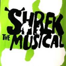 2009 Henry Hewes Design Award Nominees Announced, SHREK Leads with 5 Noms