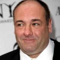 Gandolfini Talks Stritch 'Friendship' to NY Mag