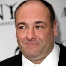 Gandolfini Talks Stritch 'Friendship' to NY Mag