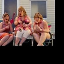 'The Great American Trailer Park Musical'